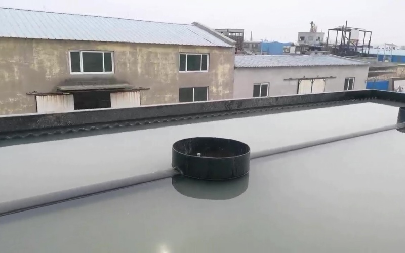 11359239294892263537 - frame at 0m4s.jpg